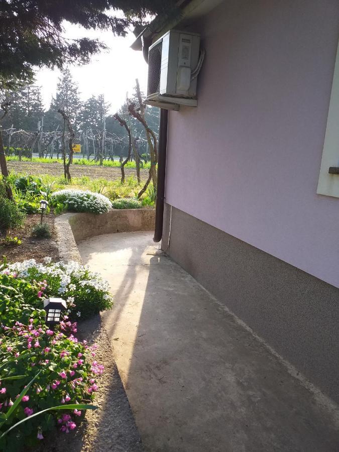 코페르 Istra 아파트 외부 사진